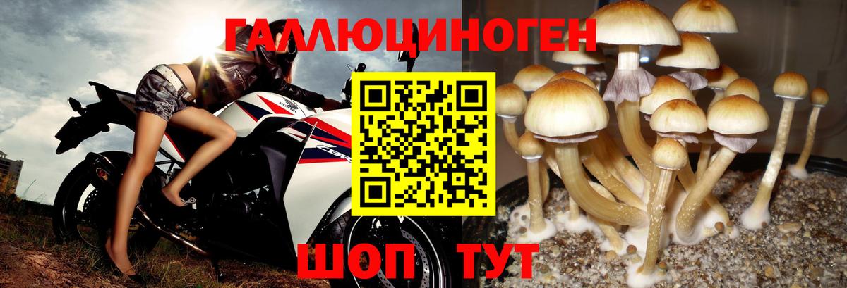 Галлюциногенные грибы ЛСД Брянск